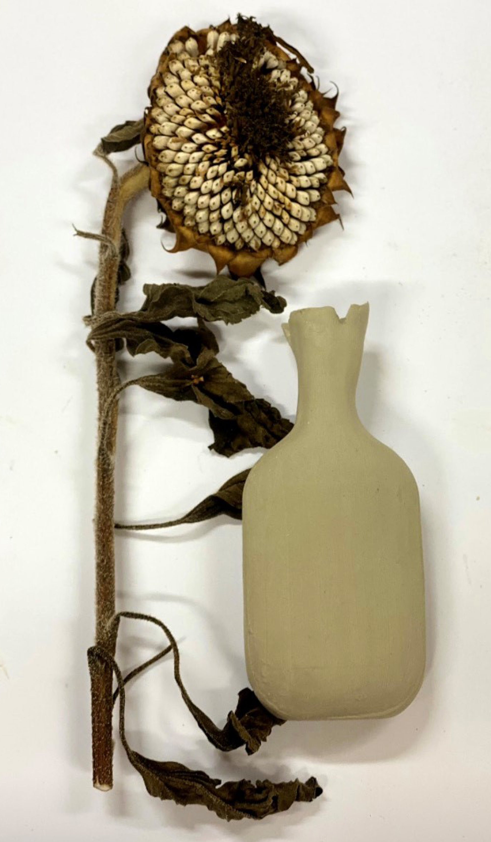 Meet The Maker - Lorraine Murphy