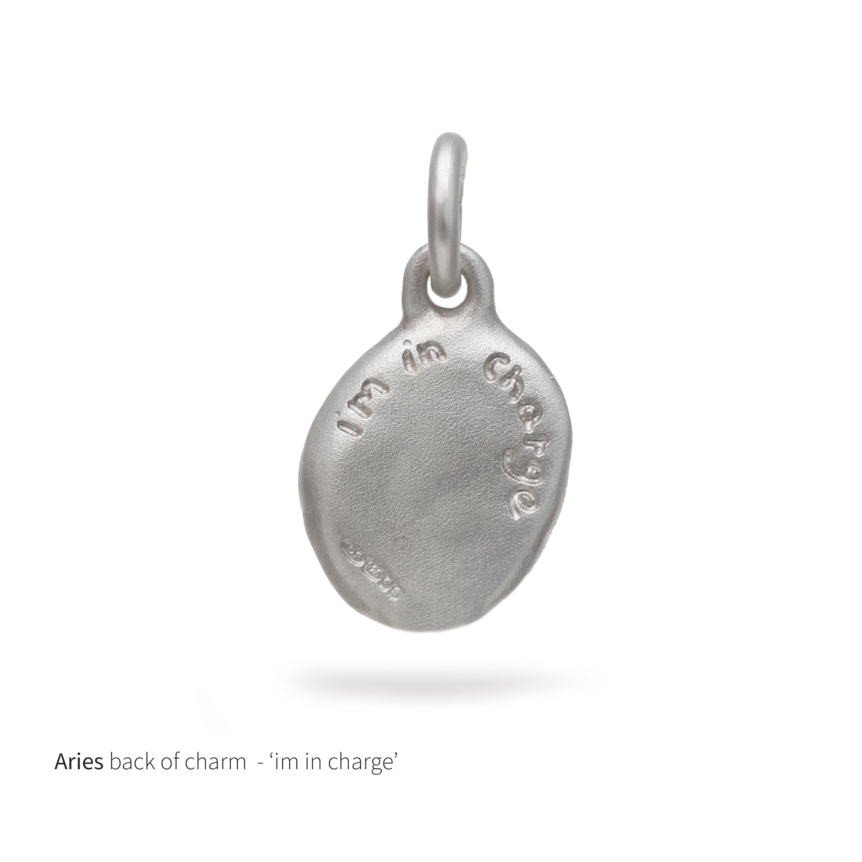 Silver Horoscope Charm