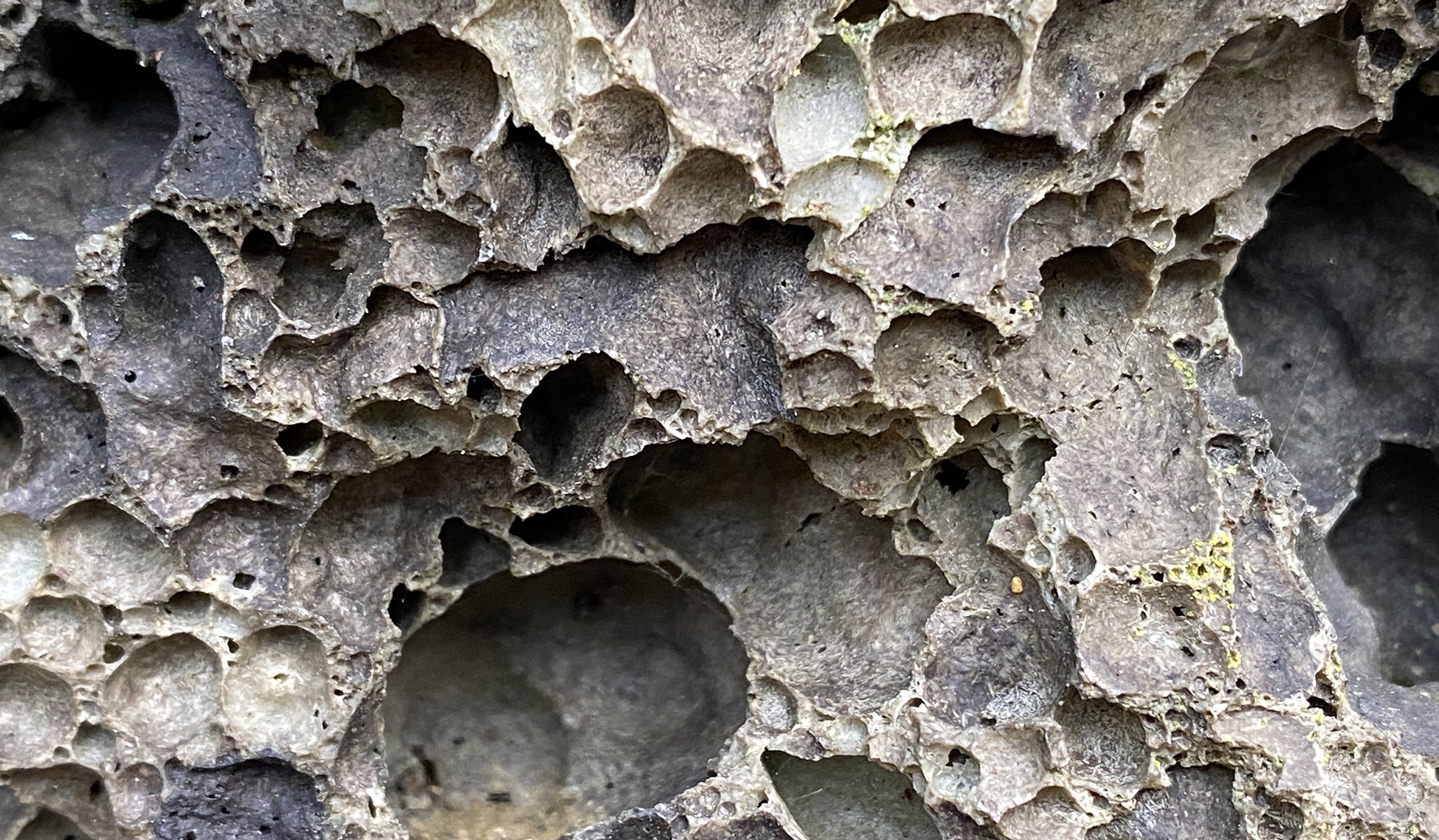 Angela Strachan | Diana Porter Jewellery