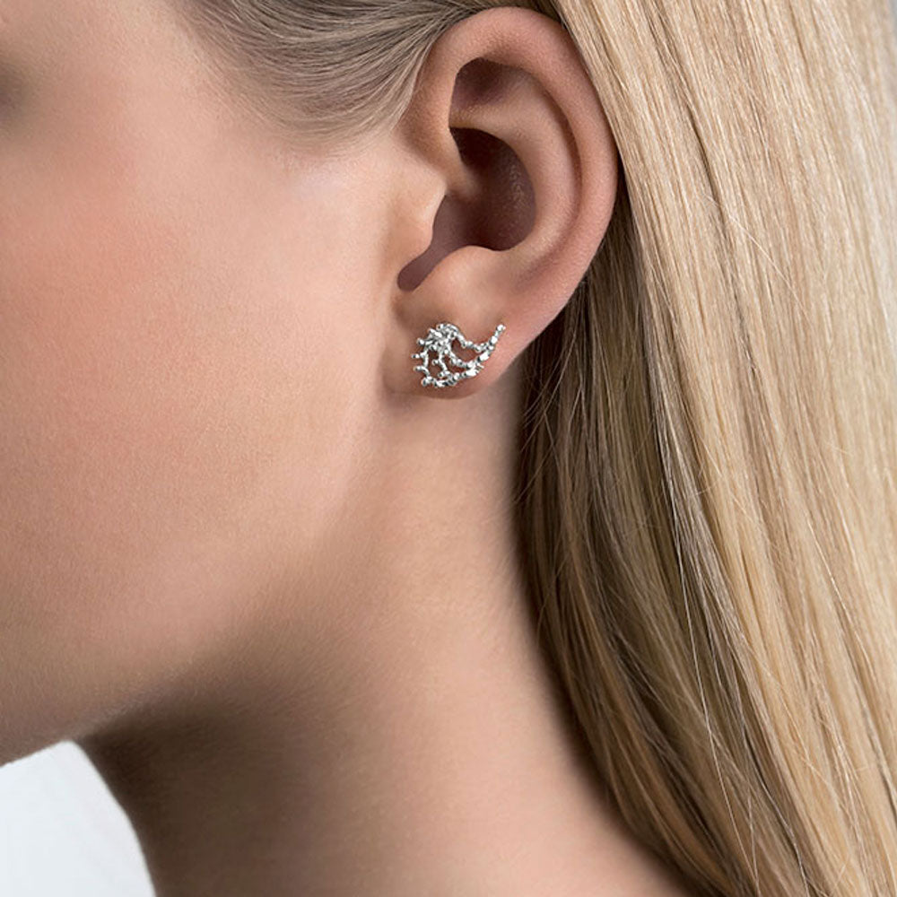 Aurum Asterias Silver Stud Earrings