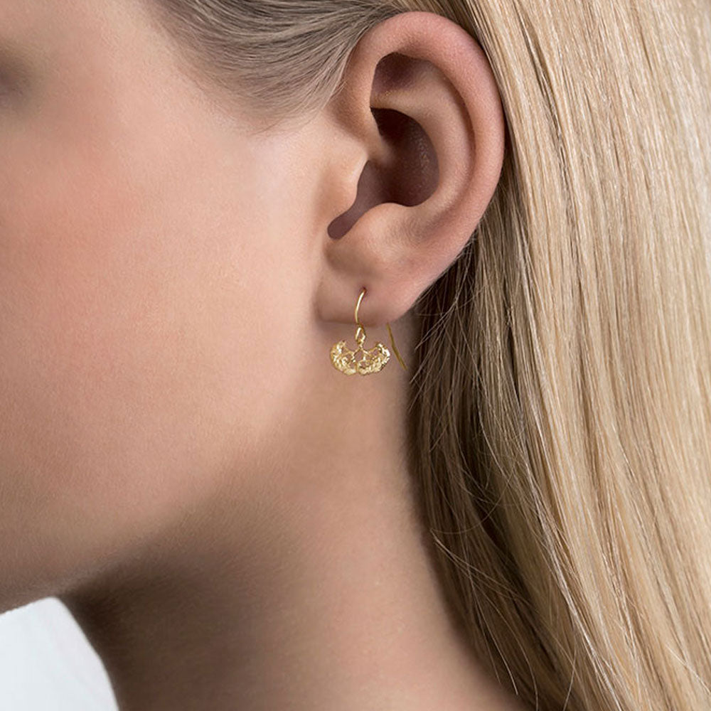 Aurum Erika 102 Gold Plate Earrings