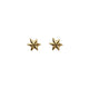 Momocreatura Micro Star Stud Earrings Gold Plate