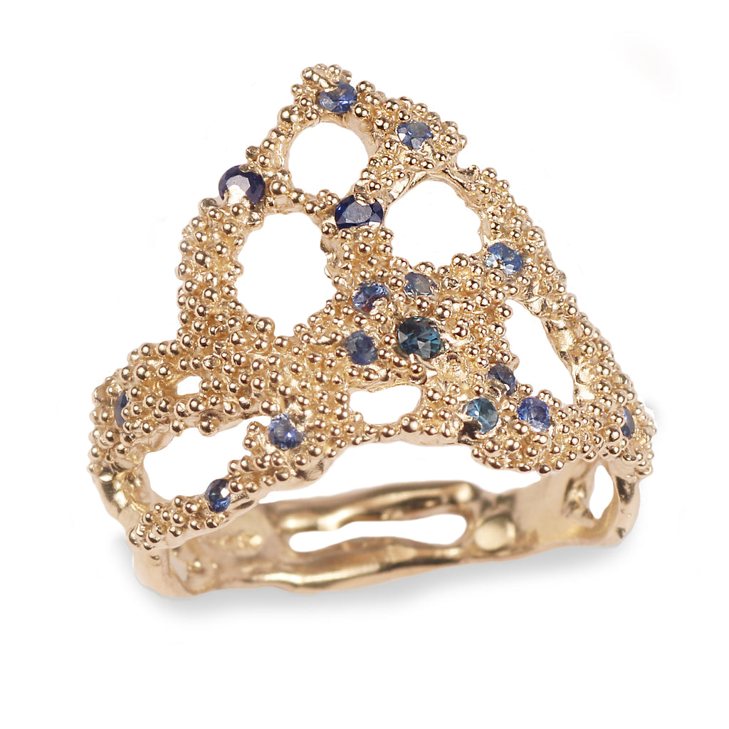 Sarah Brown 9ct Yellow Gold and Sapphire Seafoam Archipelago Ring